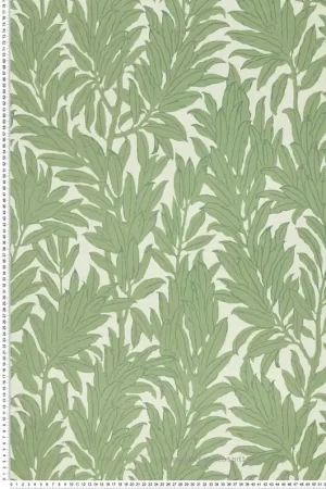 Nouveauté Papier peint Feuillage Laurel Leaf vert - V&A Decorative Papers II d‘Initiales Réf. INI-2412-177-01