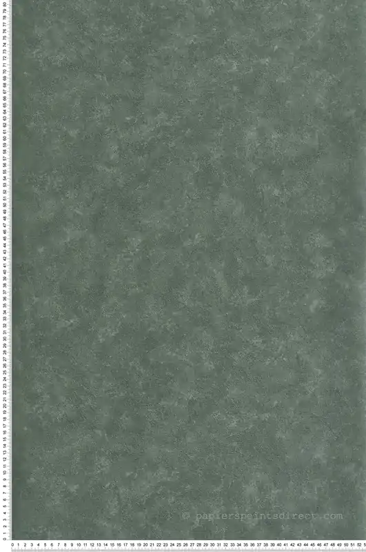 Papier Peint Uni Béton Ciré vert sapin - Artifice d‘Ugépa Réf. UGP-M79644 Meilleure Vente