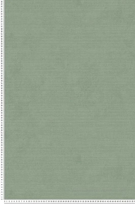Papier peint Uni Effet Craft vert sauge - Abaca de Lutèce Réf. LTC-51233114 Affaire À Saisir