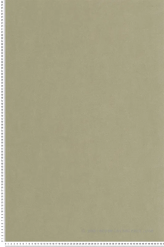 Acheter En Ligne Papier peint Matière Feuille Masaya vert lichen - Riverside 4 de Casadéco Réf. RIVI86427223