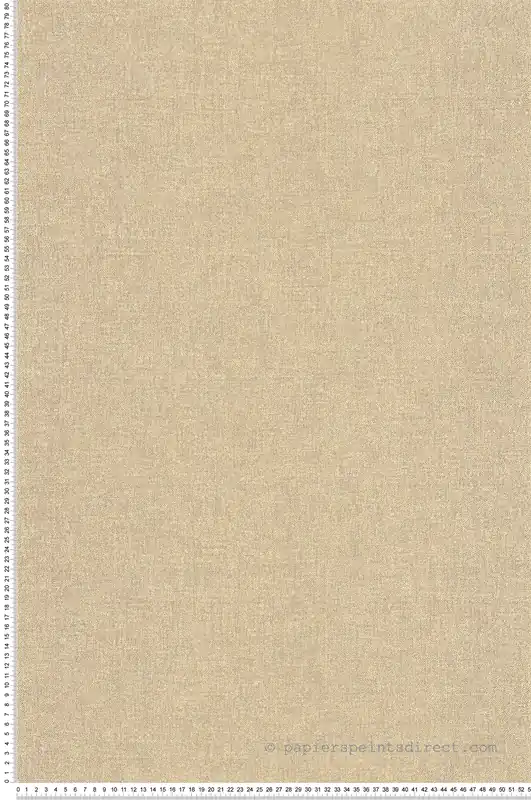Authentique Papier peint Faux Uni Empreinte beige chamois doré - Riverside 4 de Casadéco Réf. RIVI88701489
