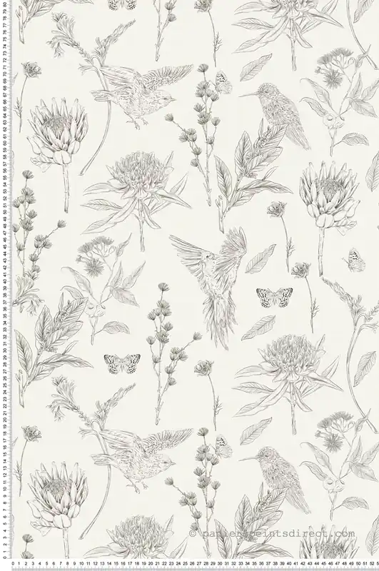 Prix Choc Papier peint Oiseau Nature Papillon noir blanc - Drawn Into Nature de Livingwalls Réf. 39429-2