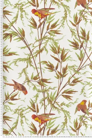Marque Papier peint Perroquet Great Ormond St Galette - National Trust Papers 4 de Little Greene Réf. 0267GOGALET