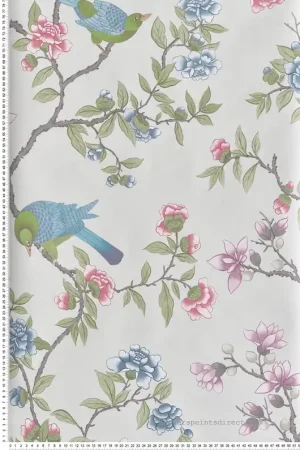 Petit Prix Papier peint Oiseaux Pivoine Aderyn French Grey - National Trust Papers 4 de Little Greene Réf. 0267ADFRENC