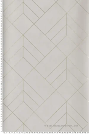Seulement Aujourd'hui Papier peint Tracé Géométrique Sander beige doré - Delicatesse de Lutèce Réf. LTC-FD26545