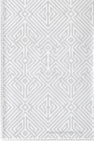 Dernier Modèle Papier peint Treillis Géométrique Lyon gris argenté - Delicatesse de Lutèce Réf. LTC-FD26849