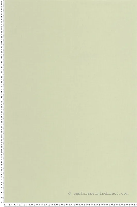 Soldes Papier peint Uni vert amande - Outlines de Casélio Réf. OTLS64527721