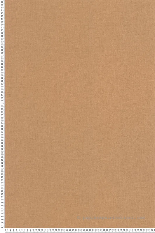 Paiement Sécurisé Papier peint Uni camel - Outlines de Casélio Réf. OTLS64522578