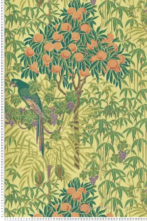 Papier peint Nature Perroquet Macaw jaune vif - V&A Decorative Papers d‘Initiales Réf. INI-31116703 Petit Prix