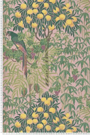 Papier peint Nature Perroquet Macaw rose blush - V&A Decorative Papers d‘Initiales Réf. INI-31116702 Retour Gratuit