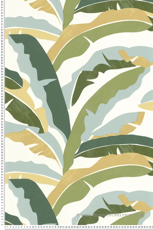 Bon Plan Papier peint Feuille Bananier Ampleur vert beige - XXL de Casélio Réf. XXL104567070