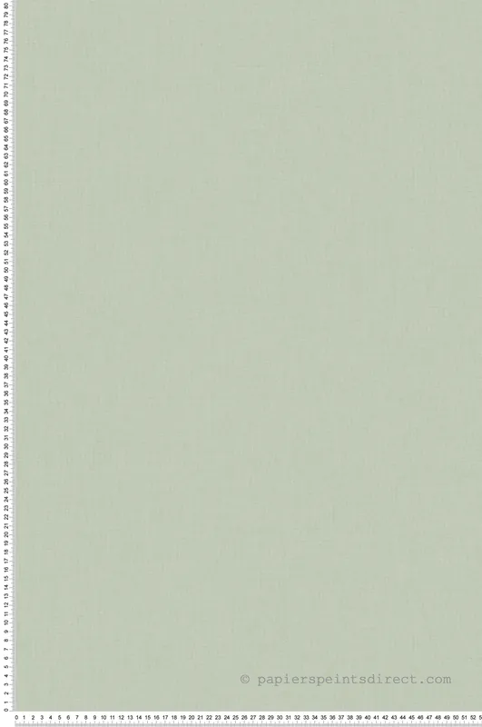 Commande En Gros Papier peint Faux Uni Tissage vert amande - XXL de Casélio Réf. XXL103227128