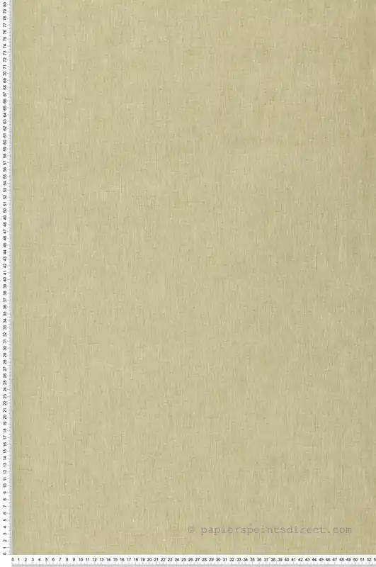 Livraison Express Papier peint Uni Toile vert tilleul chiné - XXL de Casélio Réf. XXL68527163