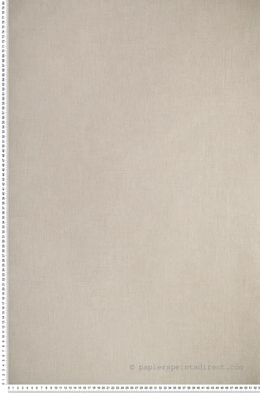Meilleure Vente Papier peint Uni Toile beige - XXL de Casélio Réf. XXL68521289