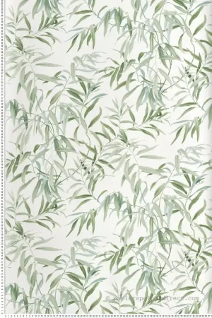 Papier peint Branchage Bambou vert - Greenhouse de York (Initiales) Réf. INI-GO8241 Livraison Express