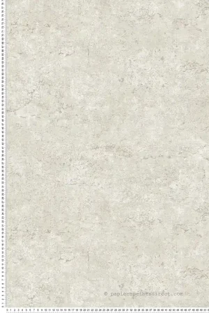 Acheter En Ligne Papier peint Faux Uni Effet Pierre Colt beige argenté - Harry de Lutèce Réf. LTC-DL26751