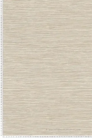 Dernier Modèle Papier peint Paille Japonaise Alton beige gris - Harry de Lutèce Réf. LTC-DL26720