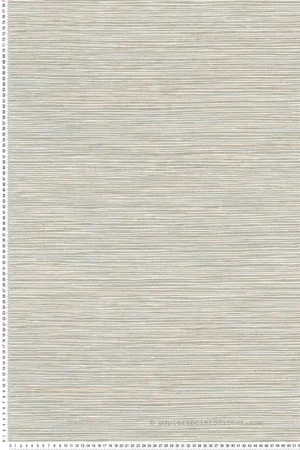 Papier peint Paille Japonaise Alton bleu clair taupe - Harry de Lutèce Réf. LTC-DL26719 Commander Maintenant