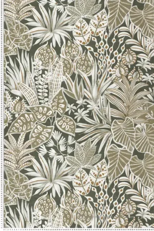 Papier peint Jungle Madhuca kaki - Golfe du Bengale de Casamance Réf. CAS-75950814 Prix Choc