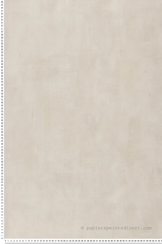 Papier peint Faux Uni Arty beige - Arty de Lutèce Réf. LTC-51211207 Petit Prix