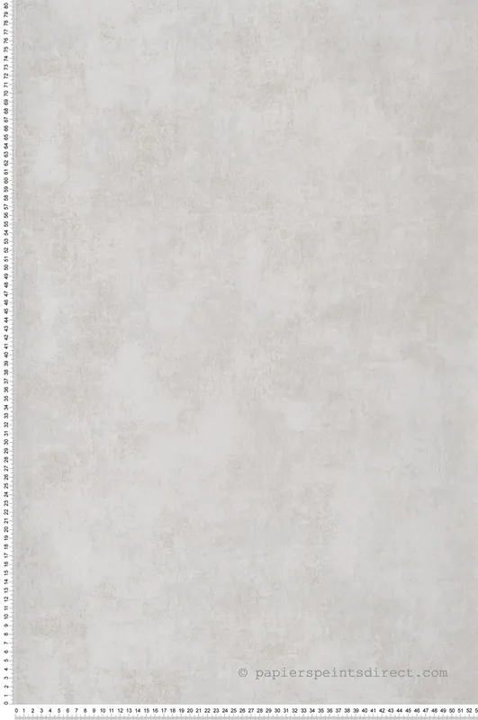 Vente Directe Papier peint Faux Uni Stone gris pale et doré - Voyage Onirique de Casadéco Réf. ONIR80831202