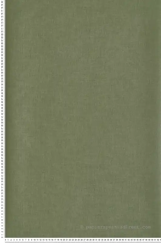 Achat Immédiat Papier peint Uni kaki - La Forêt de Casélio Réf. FRT100607405
