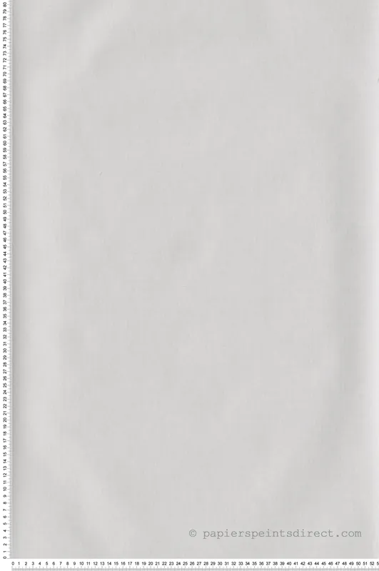 Top Vente Papier peint Uni blanc gris - La Forêt de Casélio Réf. FRT100601010