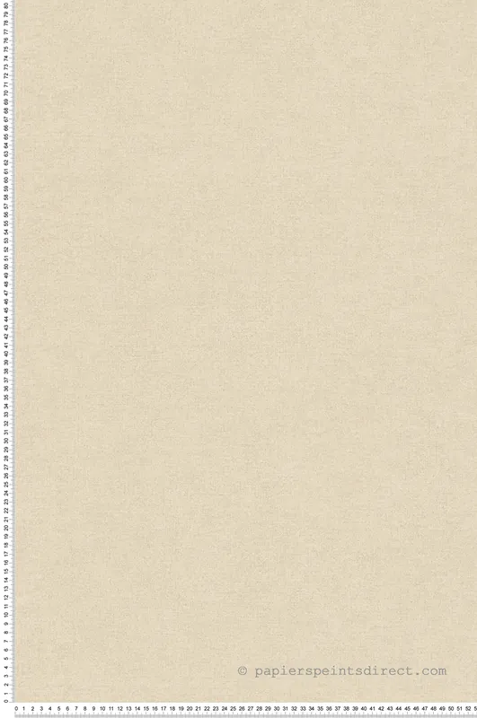 Papier peint Faux Uni Texturé beige - Desert Lodge de Livingwalls Réf. 36721-6 Prix Réduit
