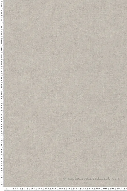 Bon Plan Papier peint Effet Lin gris souris - Desert Lodge de Livingwalls Réf. 36720-7