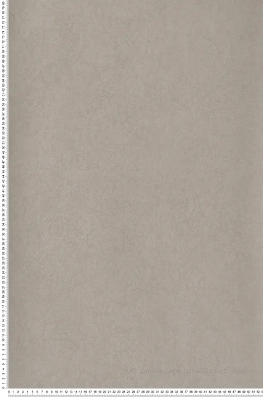 Meilleure Vente Papier peint Effet de Matière Suédine taupe claire - Leathers de Casadéco Réf. LEAT87151002