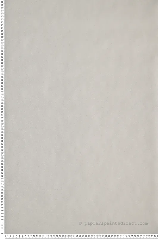 Offre Limitée Papier peint Uni gris taupe clair - Around de Casélio Réf. ARN64521682