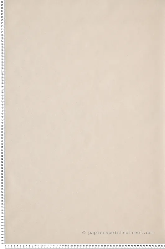 Vente Directe Papier peint Uni beige - Around de Casélio Réf. ARN64521010