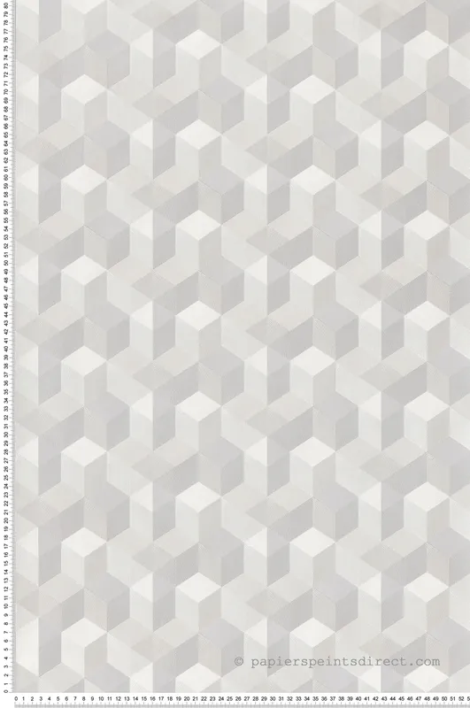 Remise Papier peint Trompe l‘oeil Cube argent et gris pale - Perception de Casadéco Réf. PERP86490121