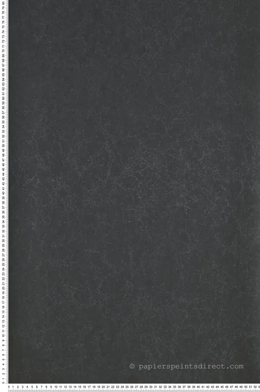 Acheter En Ligne Papier peint Lewis noir argenté - Arts & Crafts de Casadéco Réf. ARCR84079422