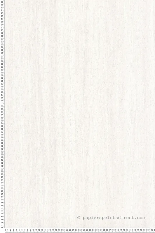 Super Prix Papier peint Faux uni Eucalyptus écru - Nicaragua de Casadéco Réf. NICA85980282