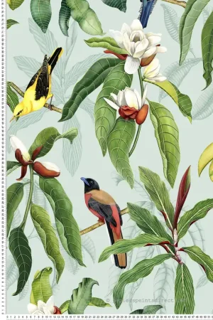 Papier peint exotique Oiseaux Michelia Eau De Nil - Empyrea d‘Osborne & Little Réf. OSB-W7612-04 Acheter Direct