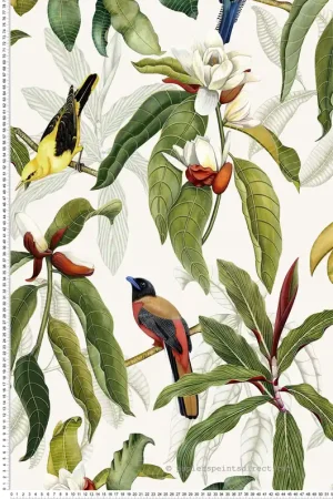 Promotion Papier peint exotique Oiseaux Michelia Ivory - Empyrea d‘Osborne & Little Réf. OSB-W7612-03
