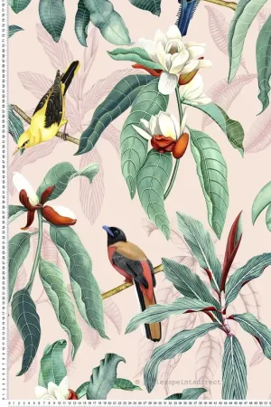 Papier peint exotique Oiseaux Michelia Blush - Empyrea d‘Osborne & Little Réf. OSB-W7612-02 Expédition Rapide