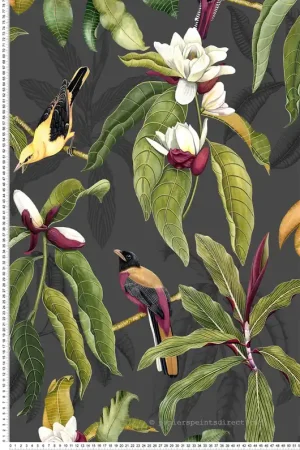 Nouvel Arrivage Papier peint exotique Oiseaux Michelia Charocal - Empyrea d‘Osborne & Little Réf. OSB-W7612-01