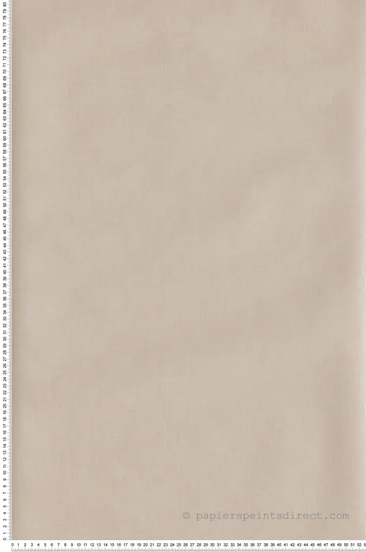 Meilleur Choix Papier peint Uni lisse effet lin beige clair - Imagination de Casélio Réf. IMG100601212