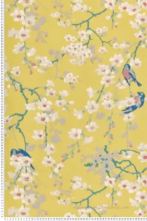 Papier peint fleurs Massingberd Blossom Yellow - National Trust Papers 2 de Little Greene Réf. 0260MAYELLO Acheter En Ligne
