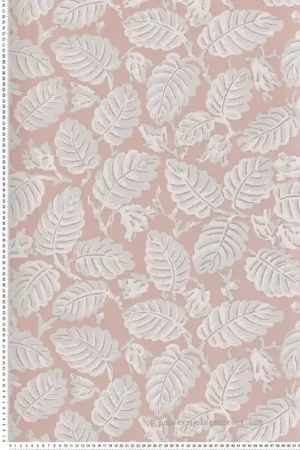 Papier peint nature Beech Nut Delicate - National Trust Papers 2 de Little Greene Réf. 0260BEDELIC Prix Cassé