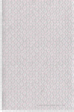 Jusqu'à Épuisement Des Stocks Papier peint motifs Classique Moy Pink - National Trust Papers 2 de Little Greene Réf. 0260MOPINKZ