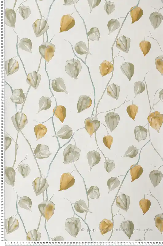 Super Prix Papier peint Fleur Physalis vert - Gingko de Casadéco Réf. GINK86217107
