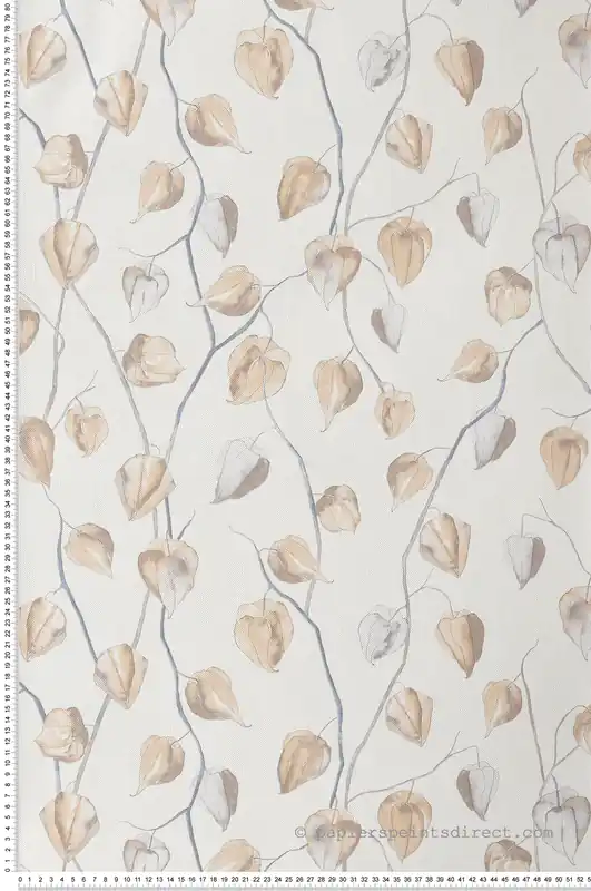 Vente Directe Papier peint Fleur Physilis beige - Gingko de Casadéco Réf. GINK86211202