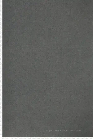 Papier peint Faux Uni Rhodium bleu - Alliages de Casamance Réf. CAS-75021222 Dernière Chance