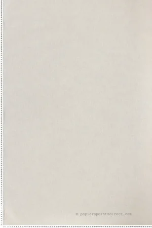 Jusqu'à Épuisement Des Stocks Papier peint Faux Uni Rhodium ivoire - Alliages de Casamance Réf. CAS-75020100