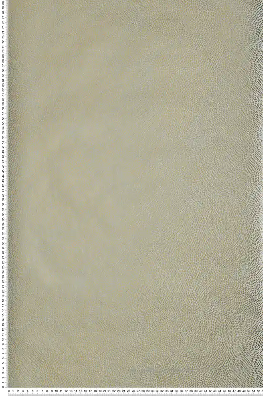 Achat Immédiat Papier peint Pois Naturel doré - Kanoko d‘Osborne & Little Réf. OSB-W7555-04
