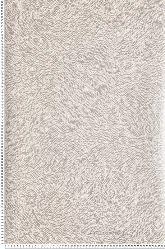 Soldes Papier peint Pois Naturel écru et argenté - Kanoko d‘Osborne & Little Réf. OSB-W7555-03