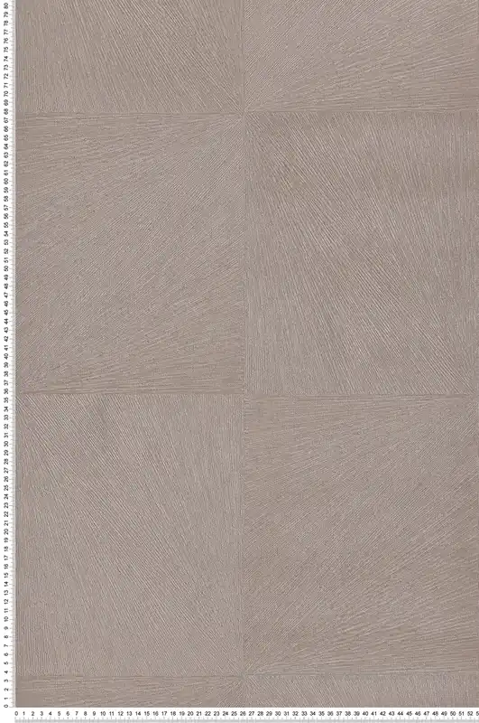 Réduction Papier peint Géométrique Nature beige - Explore de Lutèce LTC-EXP573